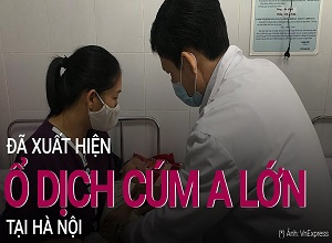 Xuất hiện ổ dịch cúm A ở Hà Nội